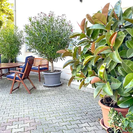 Orchidee Lübbenau