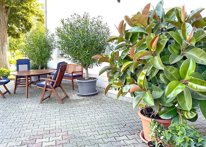 Orchidee * Stennewitz